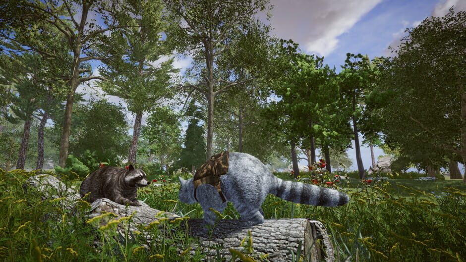 Wanted Raccoon Screenshot