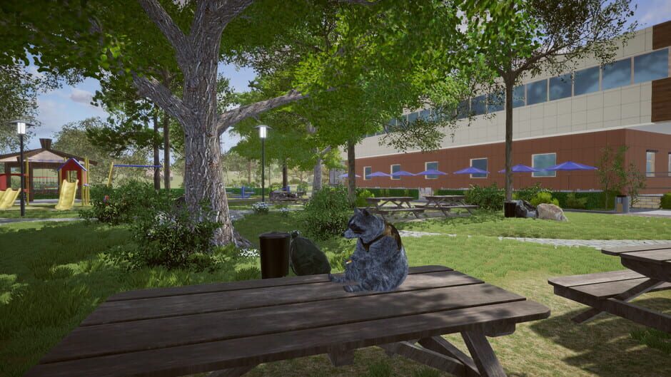 Wanted Raccoon Screenshot