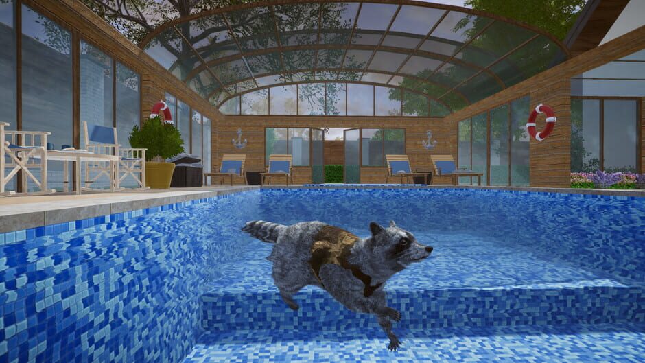 Wanted Raccoon Screenshot