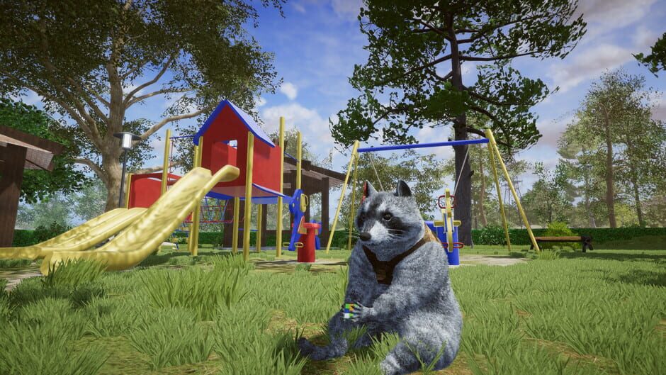 Wanted Raccoon Screenshot