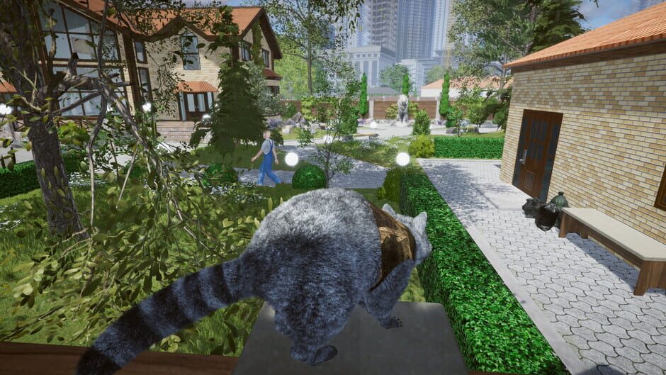 Wanted Raccoon Screenshot