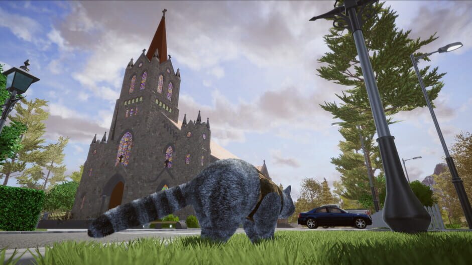 Wanted Raccoon Screenshot