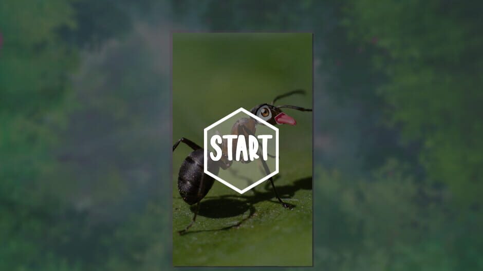 My Sweet Ants! Screenshot