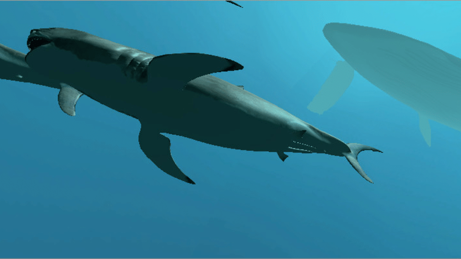 VR Shark Screenshot