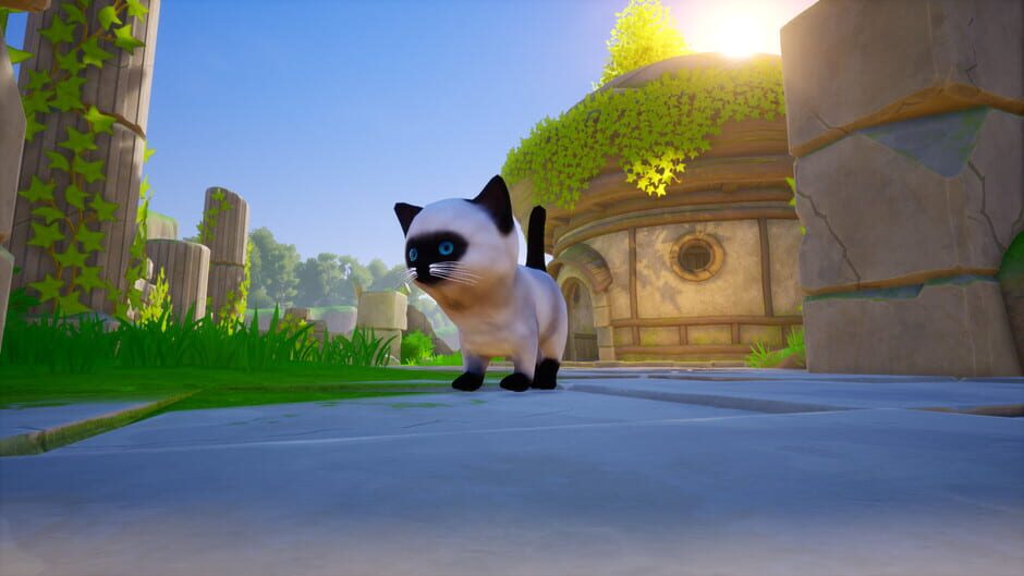 Cat Go! Ultimate Challenge Screenshot