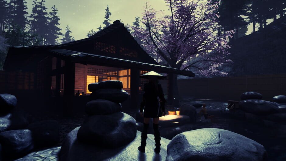Tale of Ninja: Fall of the Miyoshi Screenshot