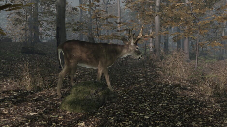 Pro Deer Hunting 2 Screenshot