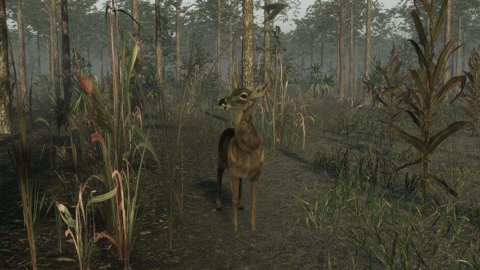 Pro Deer Hunting 2 Screenshot