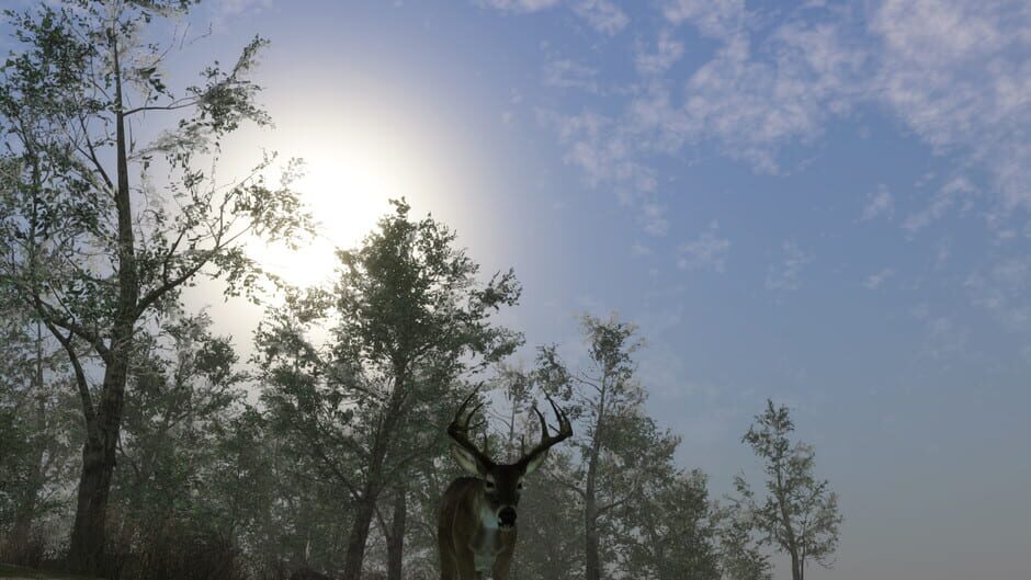 Pro Deer Hunting 2 Screenshot