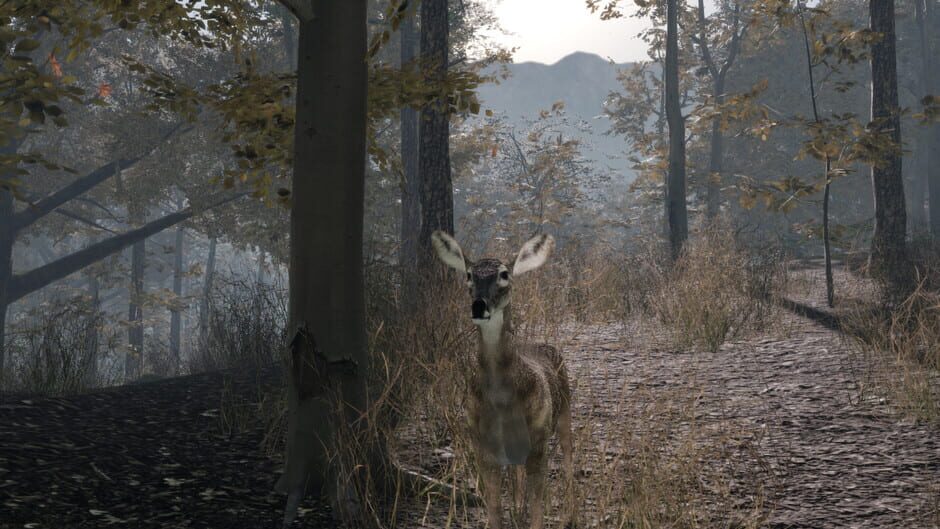 Pro Deer Hunting 2 Screenshot