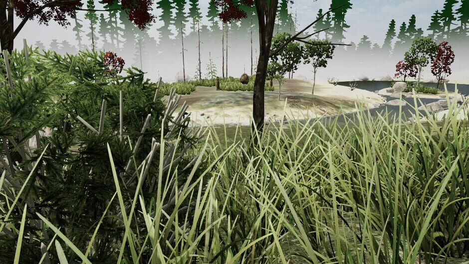 Dragon Fury VR Screenshot