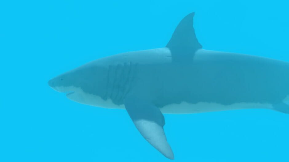 Callparin 2 Screenshot