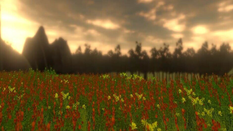 Sunflower Code Screenshot