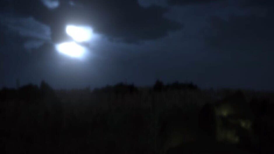 Sunflower Code Screenshot