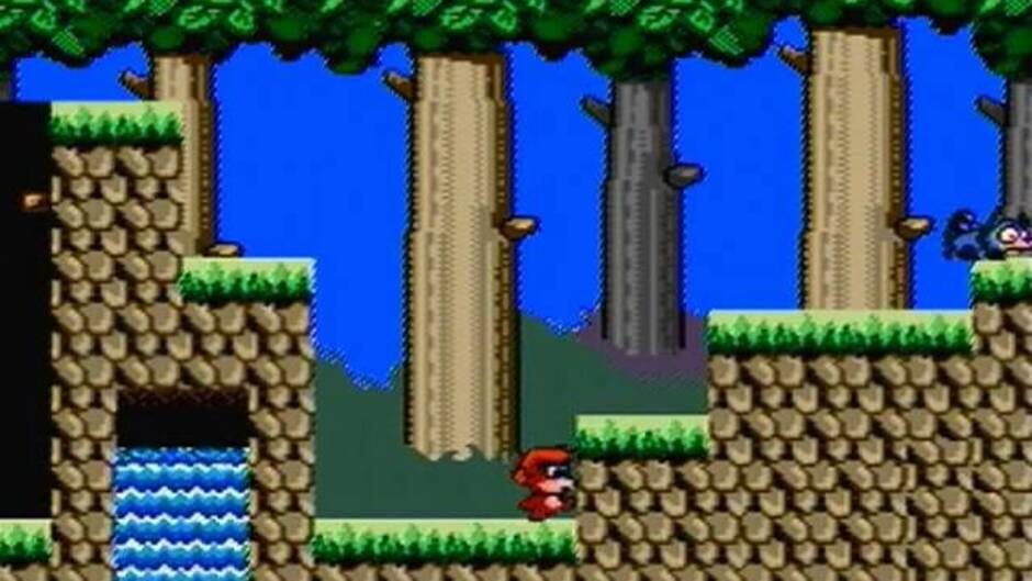 Screenshot Curly Monkey