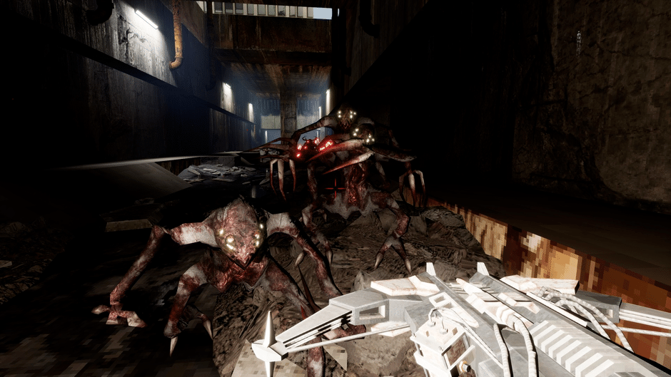 Anomalous Screenshot
