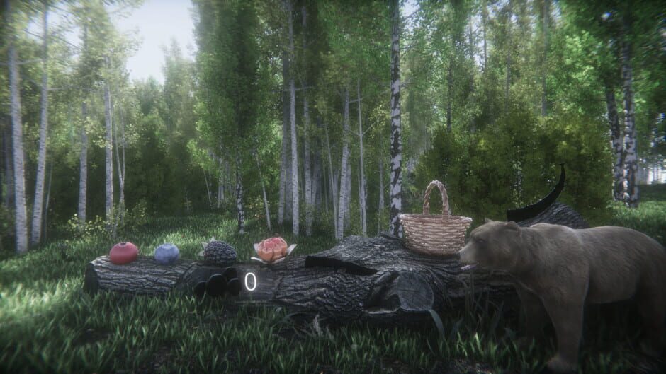 Berries Challenge Screenshot