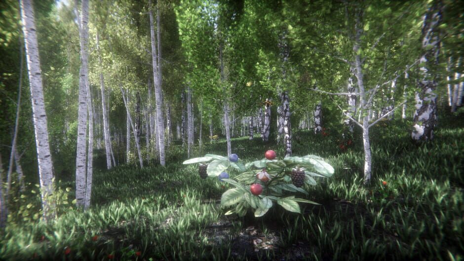 Berries Challenge Screenshot