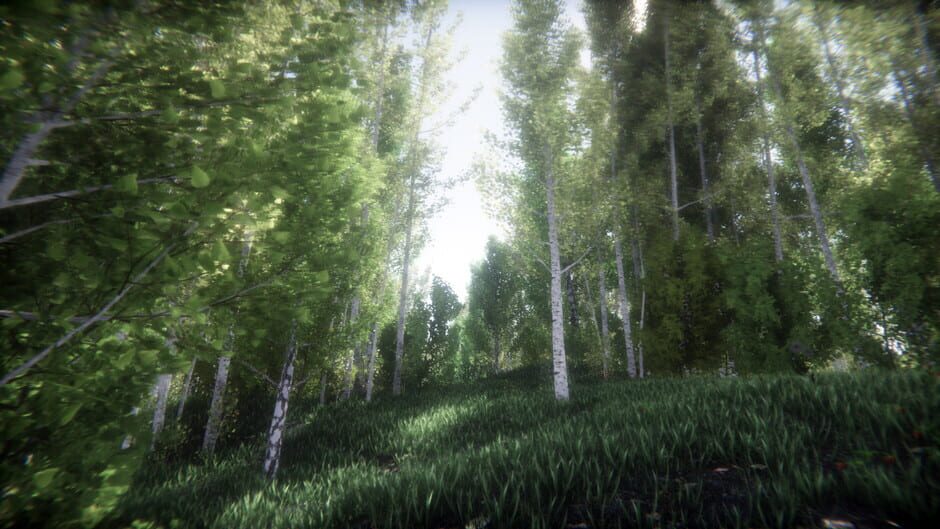 Berries Challenge Screenshot