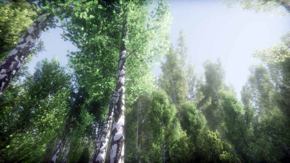 Berries Challenge Screenshot