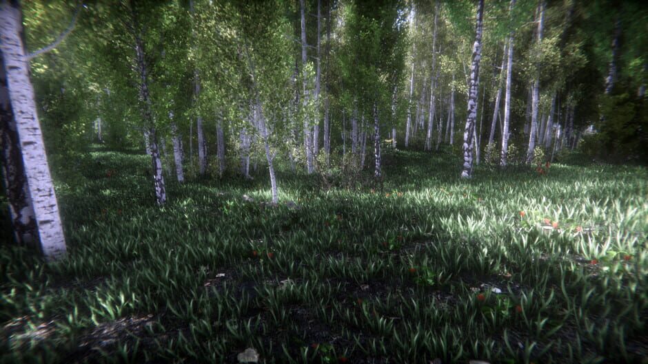 Berries Challenge Screenshot