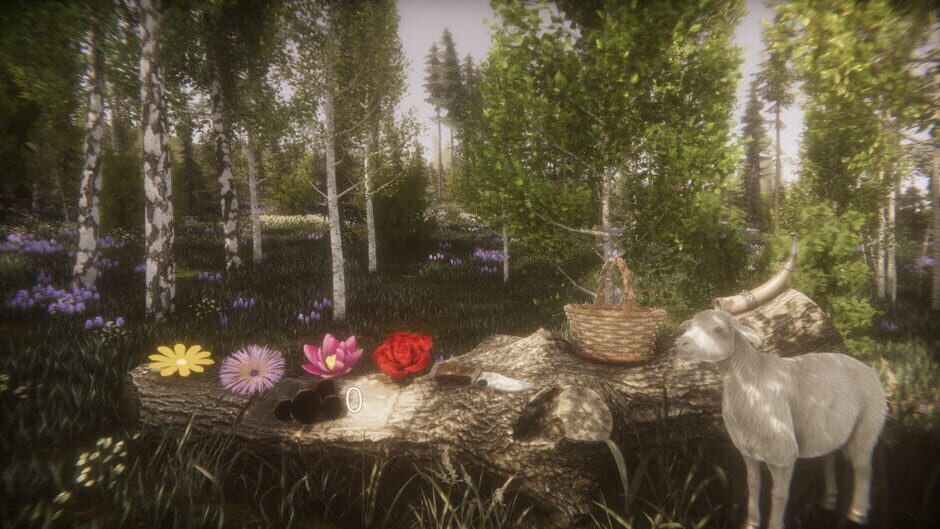 Flower Challenge Screenshot