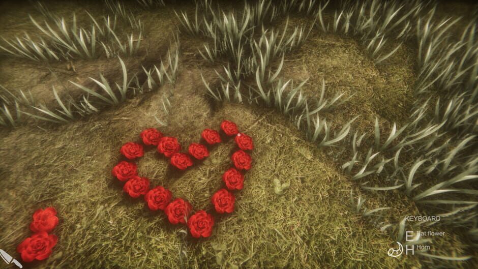 Flower Challenge Screenshot