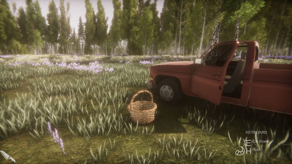 Flower Challenge Screenshot