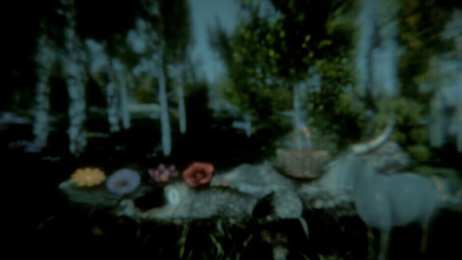 Flower Challenge Screenshot