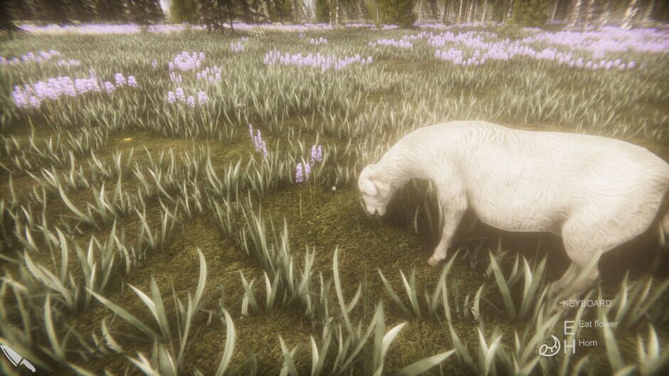 Flower Challenge Screenshot