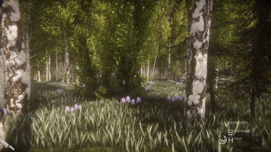Flower Challenge Screenshot