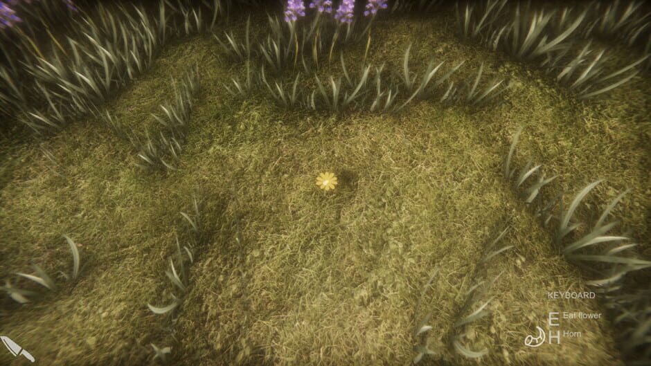 Flower Challenge Screenshot