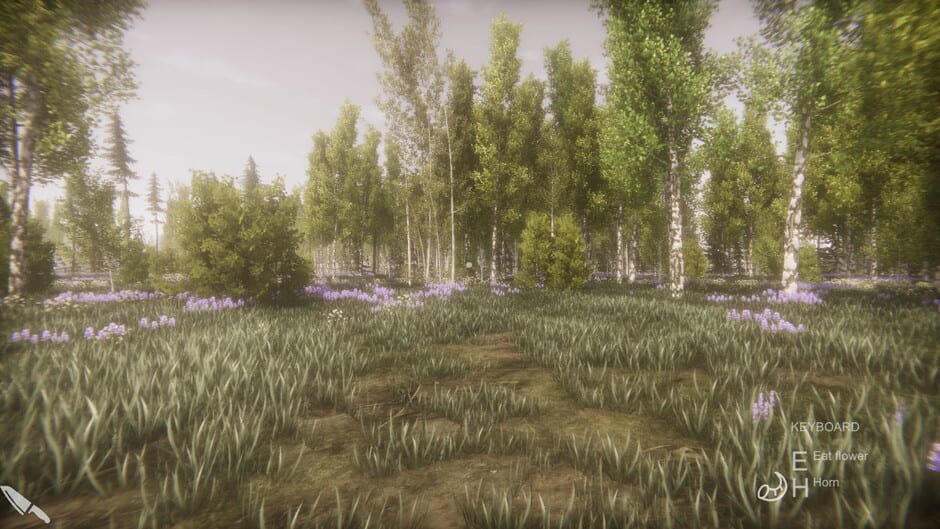 Flower Challenge Screenshot