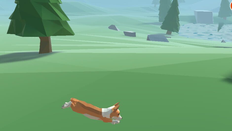 Miracle Field Screenshot