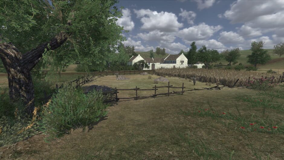 Mount & Blade: Warband - Napoleonic Wars Screenshot