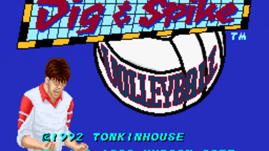 Dig & Spike Volleyball Screenshot