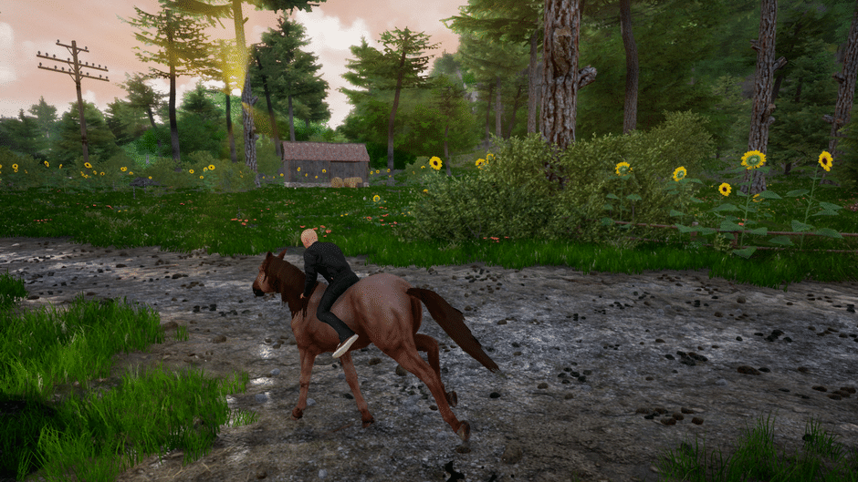 Horse Riding Deluxe 2 Screenshot
