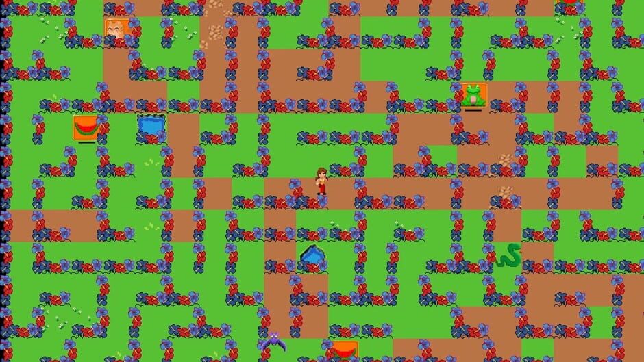 Endurance Labyrinth Screenshot