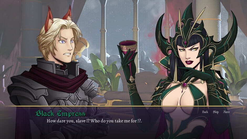 The Marauder Chronicles: Curse over Valdria Screenshot