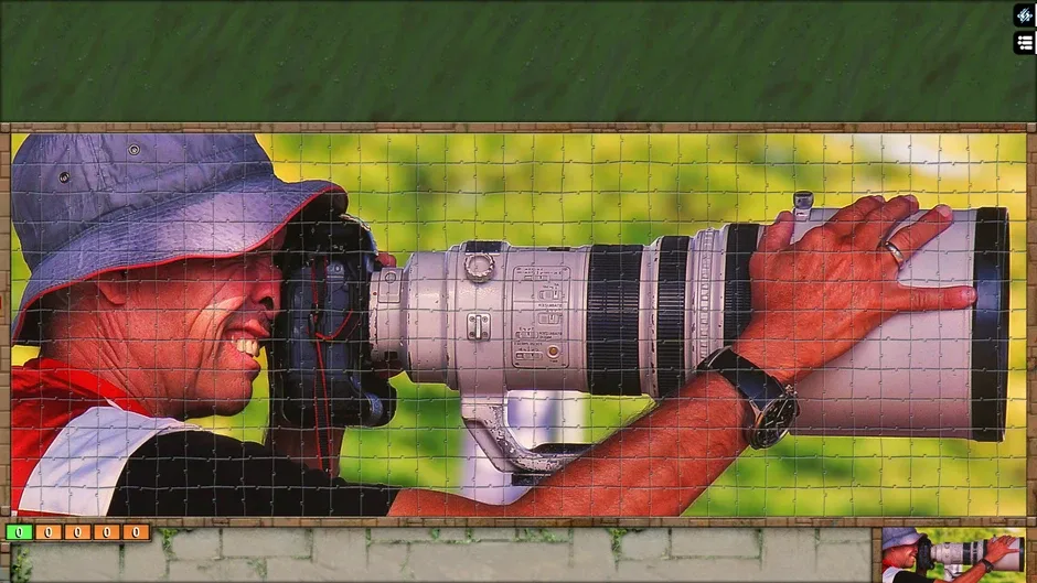 Capture d'écran de l'article