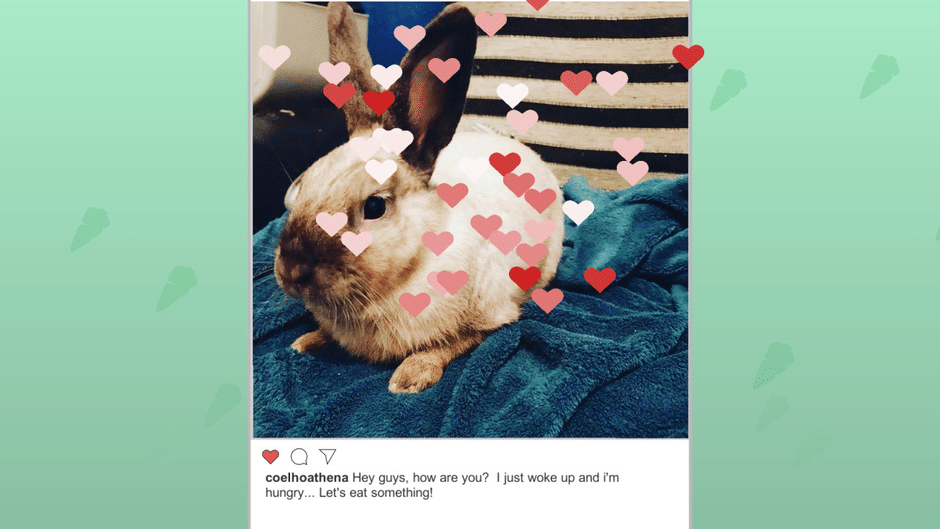 Athena, the rabbit: Jigsaw Puzzle Screenshot