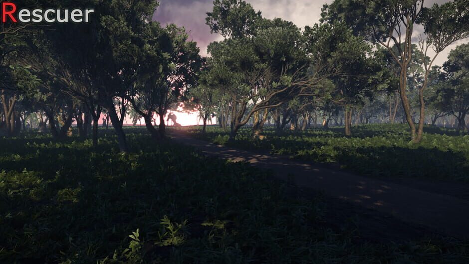Rescuer Screenshot