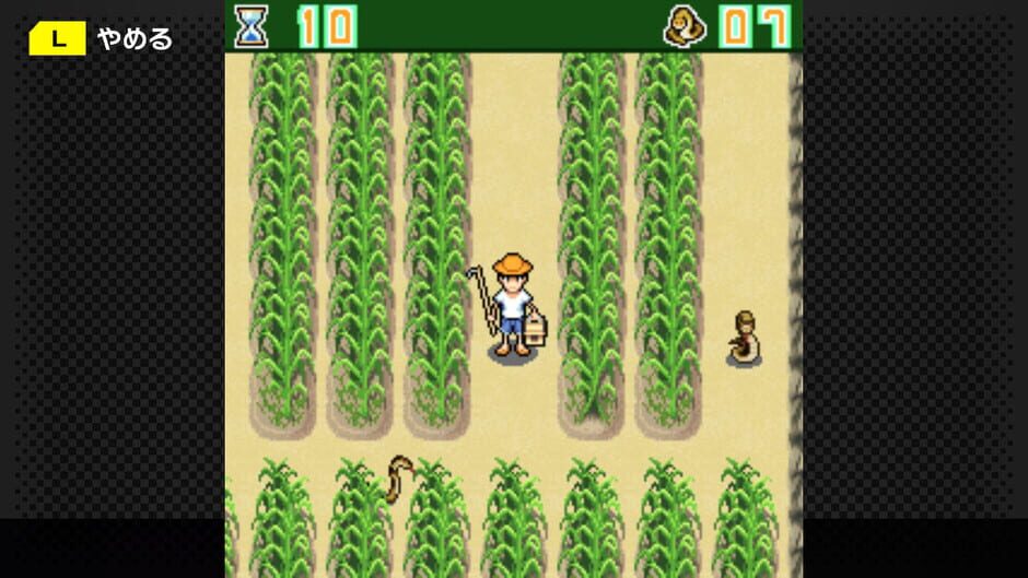 G-Mode Archives 15: Chura-jima Kurashi Screenshot