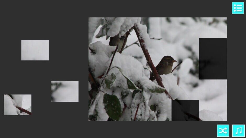 Stoopid Puzzle Game Screenshot