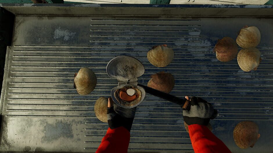 Fishing: North Atlantic - Scallops Expansion Screenshot