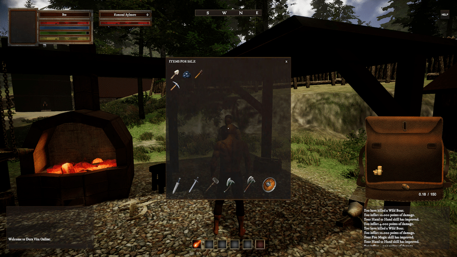 Dura Vita Online Screenshot