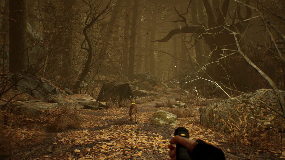 Blair Witch VR Screenshot