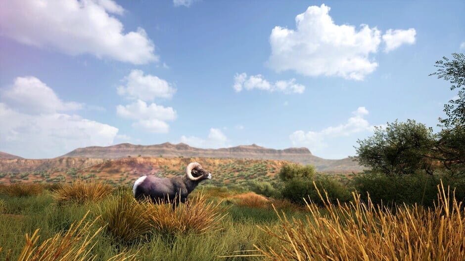 Hunting Simulator 2: Elite Edition Screenshot