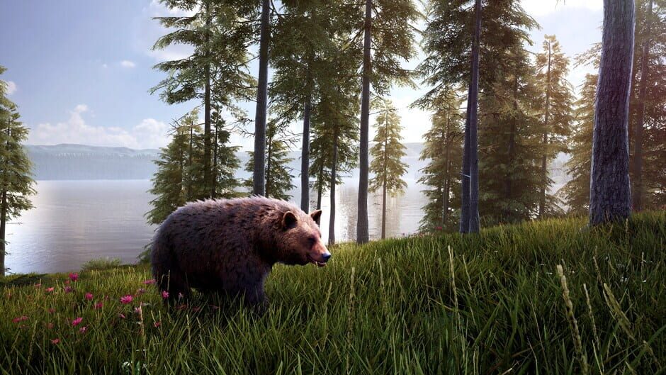 Hunting Simulator 2: Bear Hunter Edition Screenshot