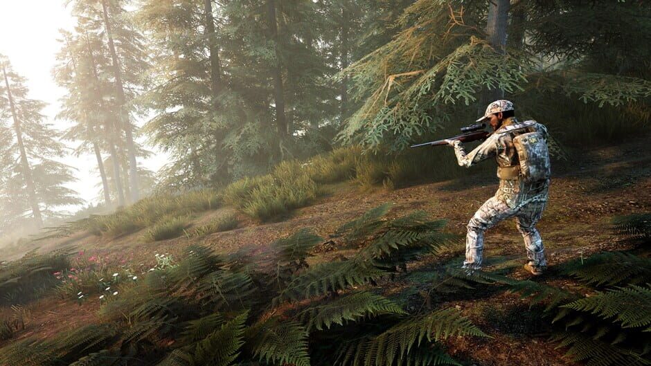 Hunting Simulator 2: Bear Hunter Edition Screenshot